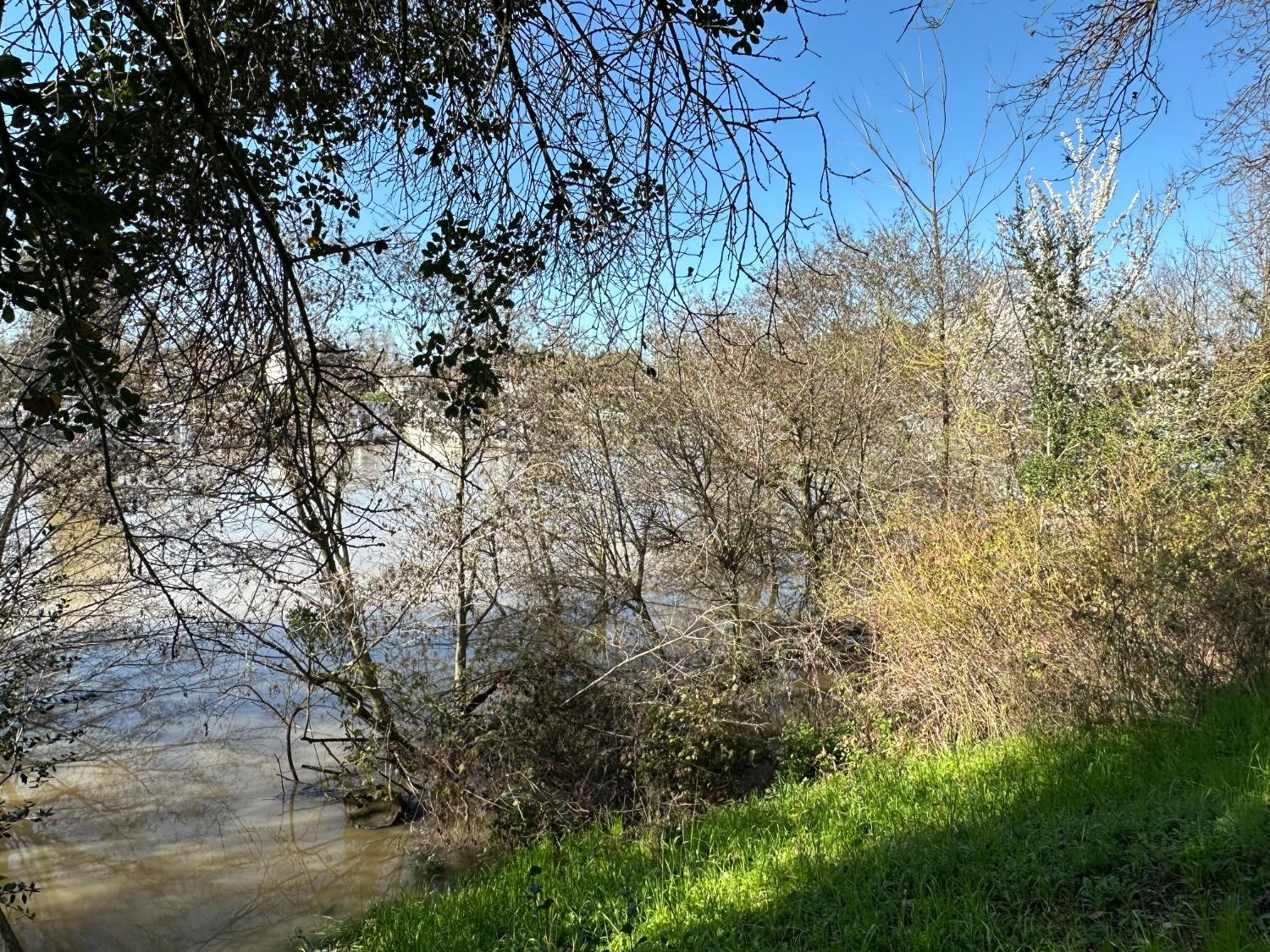 14055 River Road Walnut Grove, CA 95690 - Photo 6 of 55