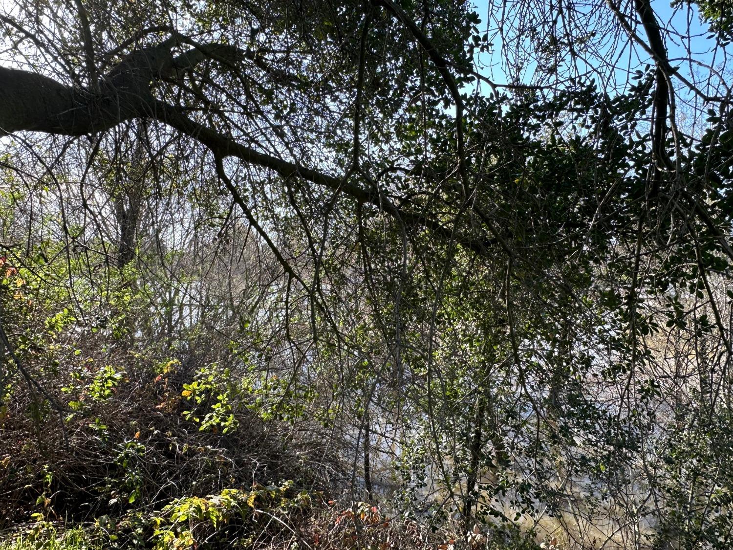 14055 River Road Walnut Grove, CA 95690 - Photo 7 of 55