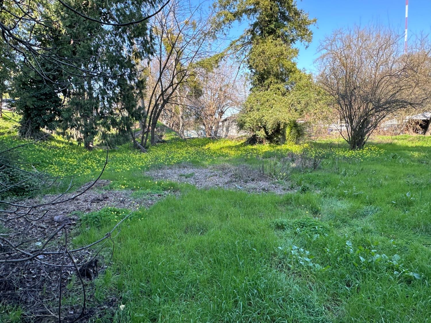 14055 River Road Walnut Grove, CA 95690 - Photo 9 of 55 a view of a tree in front of a house