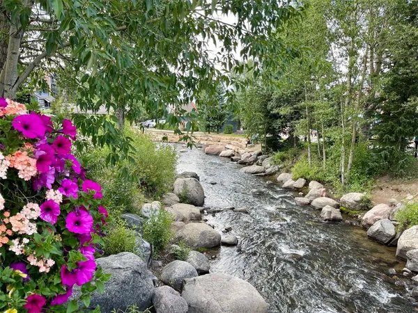 a picture of flowers
