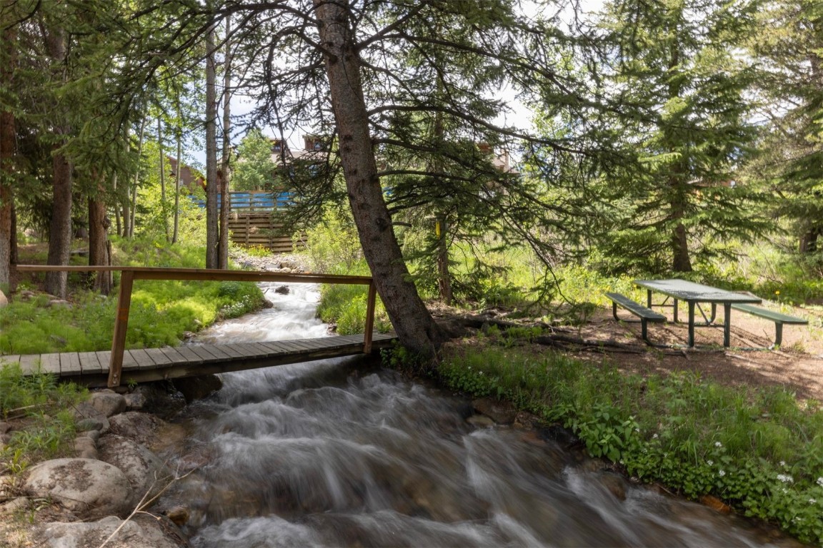 600 4 O Clock Road, Unit A11 Breckenridge, CO 80424 - Photo 3 of 22 a view of park with trees in the background