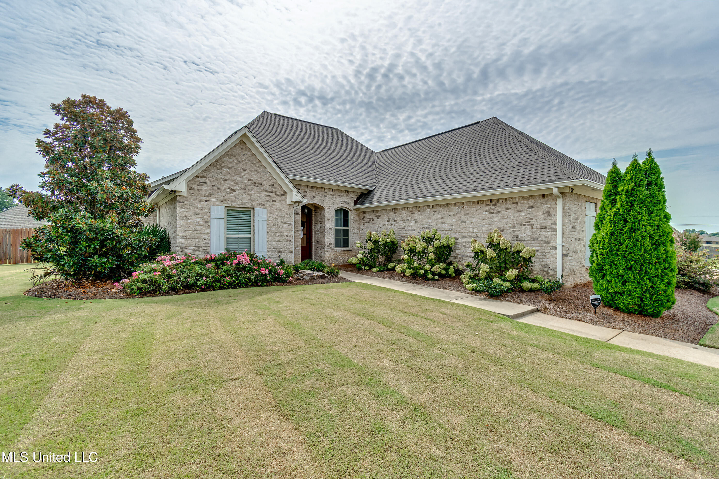 237 Buckhead Drive Madison, MS 39110 - Photo 2 of 36 237 Buckhead Dr-3