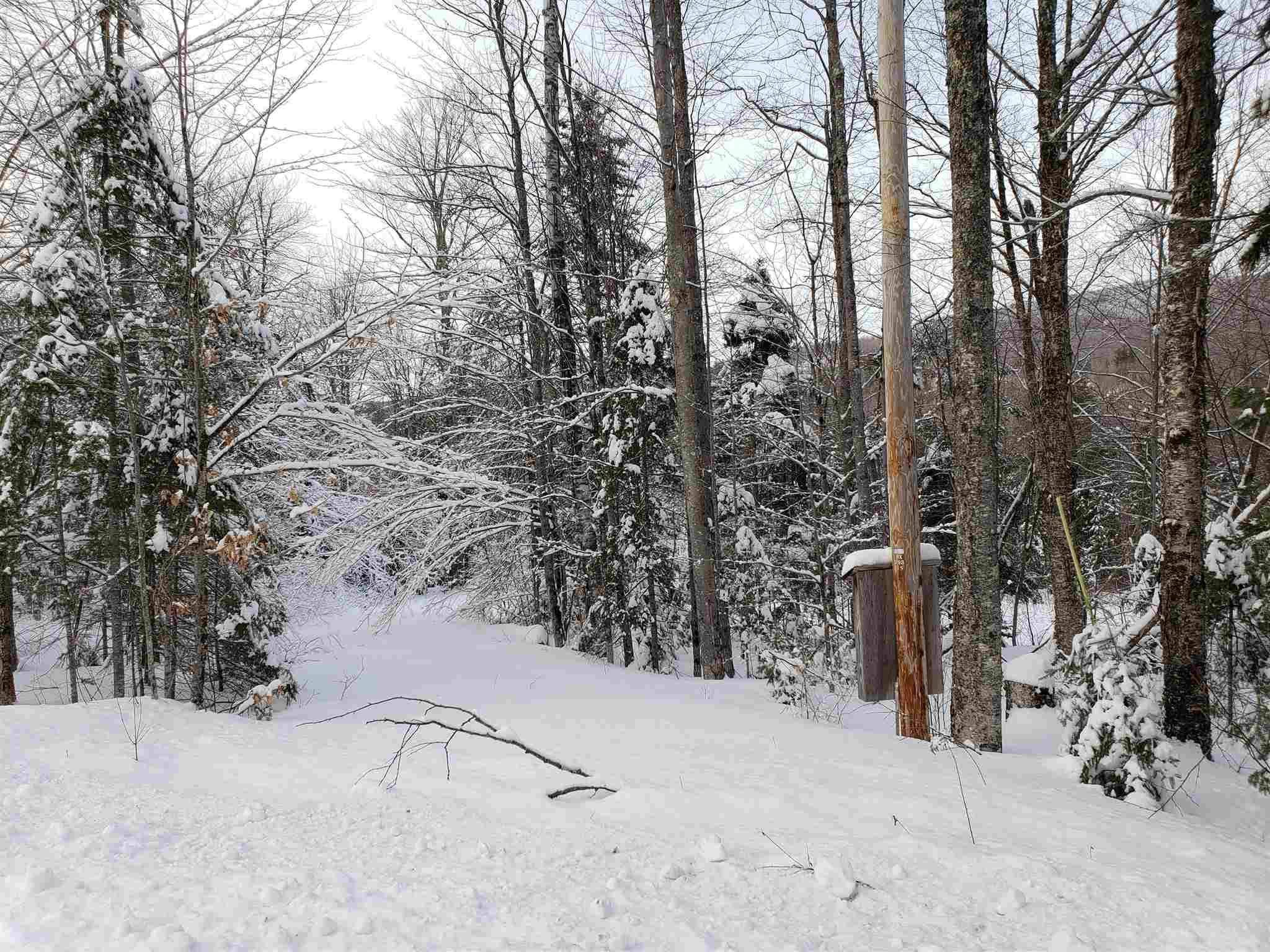 0 Atwell Hill Road Wentworth, NH 03282 - Photo 1 of 10 Gallery Image 1