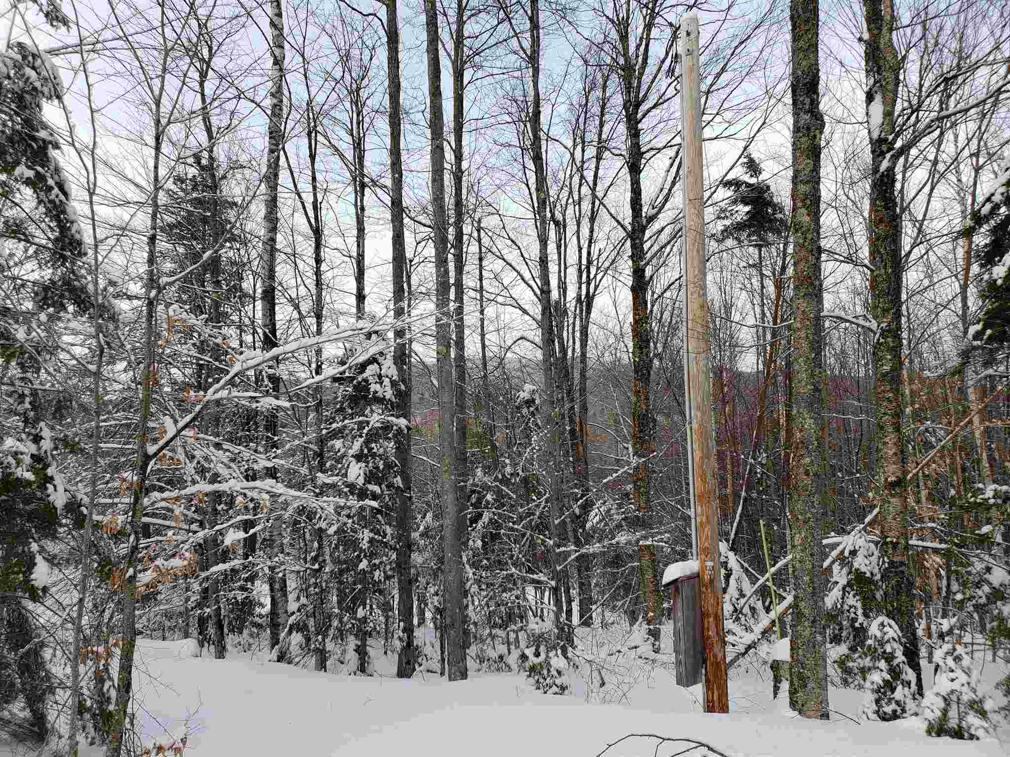 0 Atwell Hill Road Wentworth, NH 03282 - Photo 3 of 10 Gallery Image 3