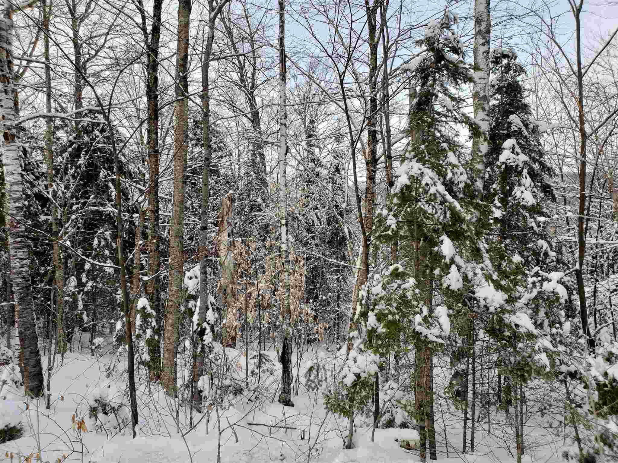 0 Atwell Hill Road Wentworth, NH 03282 - Photo 5 of 10 Gallery Image 5