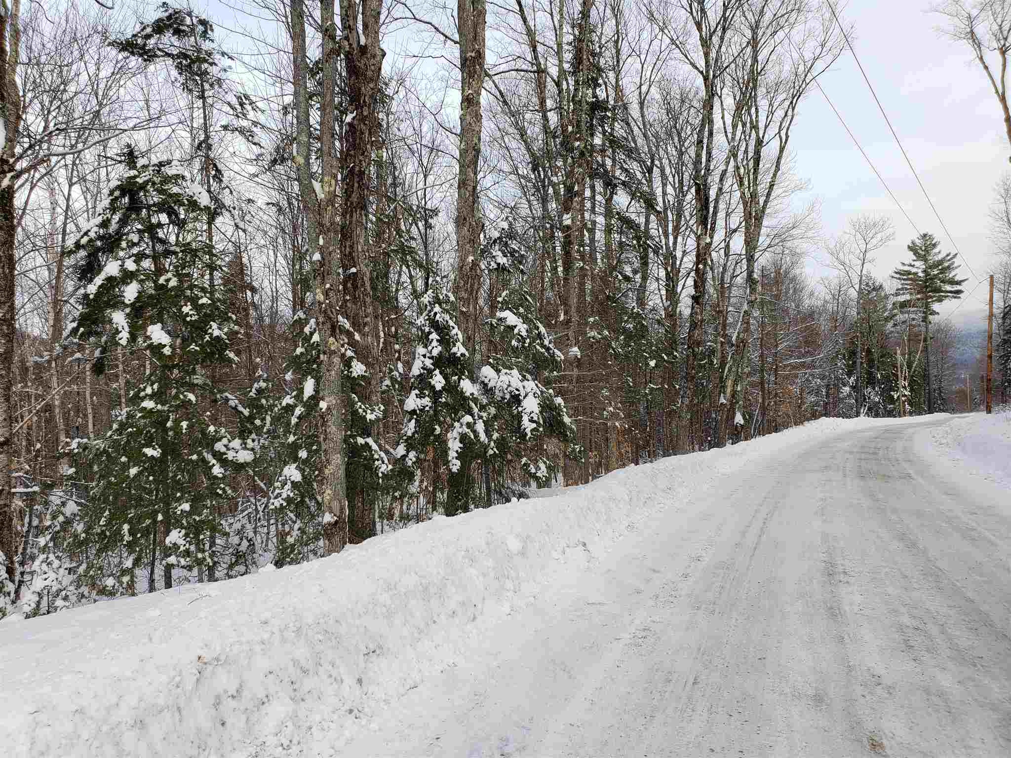 0 Atwell Hill Road Wentworth, NH 03282 - Photo 6 of 10 Gallery Image 6