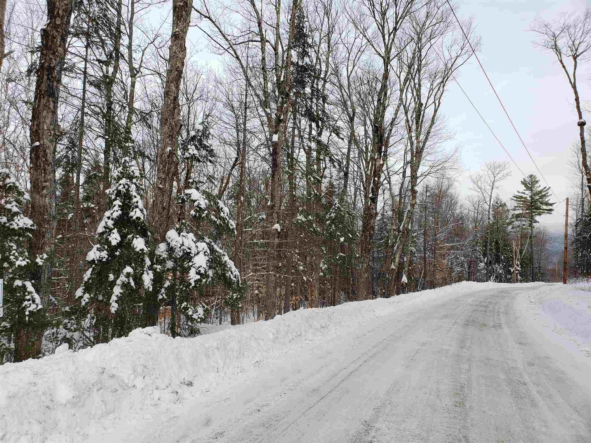 0 Atwell Hill Road Wentworth, NH 03282 - Photo 7 of 10 Gallery Image 7