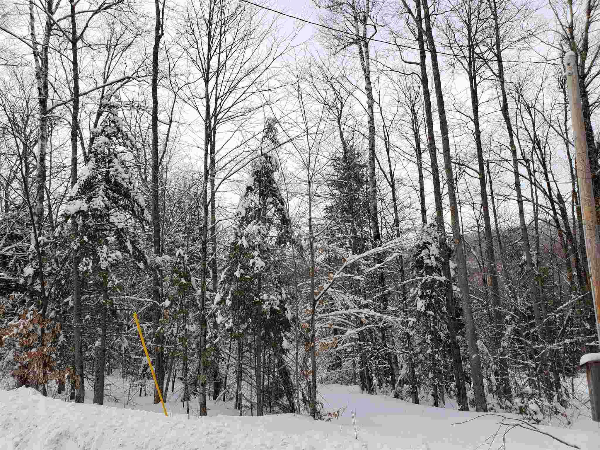0 Atwell Hill Road Wentworth, NH 03282 - Photo 8 of 10 Gallery Image 8