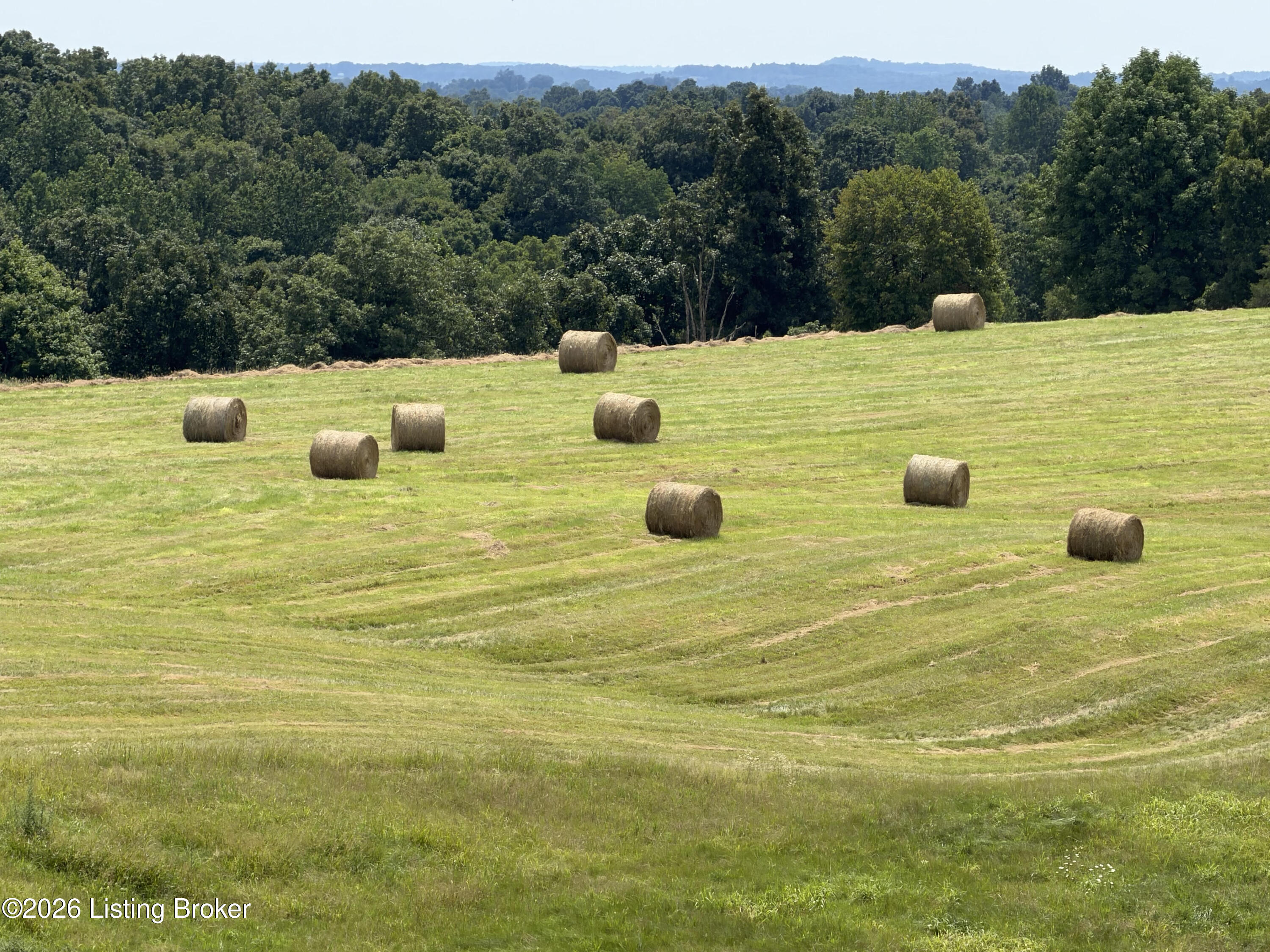 673 Dr Cheal Road Leitchfield, KY 42754 - Photo 103 of 104 hay