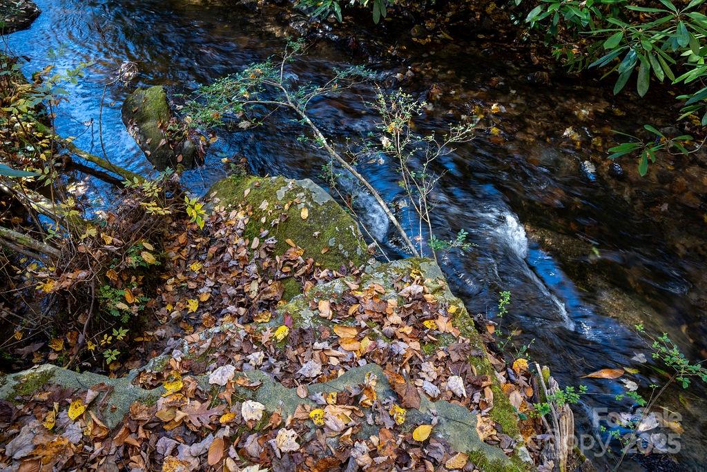 3761 Frozen Creek Road, Unit 31 32 33 Brevard, NC 28712 - Photo 21 of 25 a picture of tree