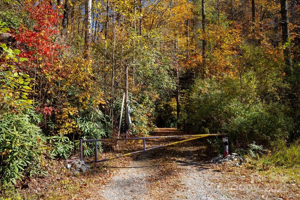 3761 Frozen Creek Road, Unit 31 32 33 Brevard, NC 28712 - Photo 25 of 25 a view of a forest with trees