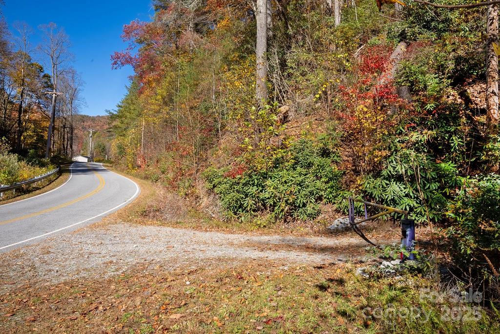 3761 Frozen Creek Road, Unit 31 32 33 Brevard, NC 28712 - Photo 3 of 25 a view of a yard with plants and trees