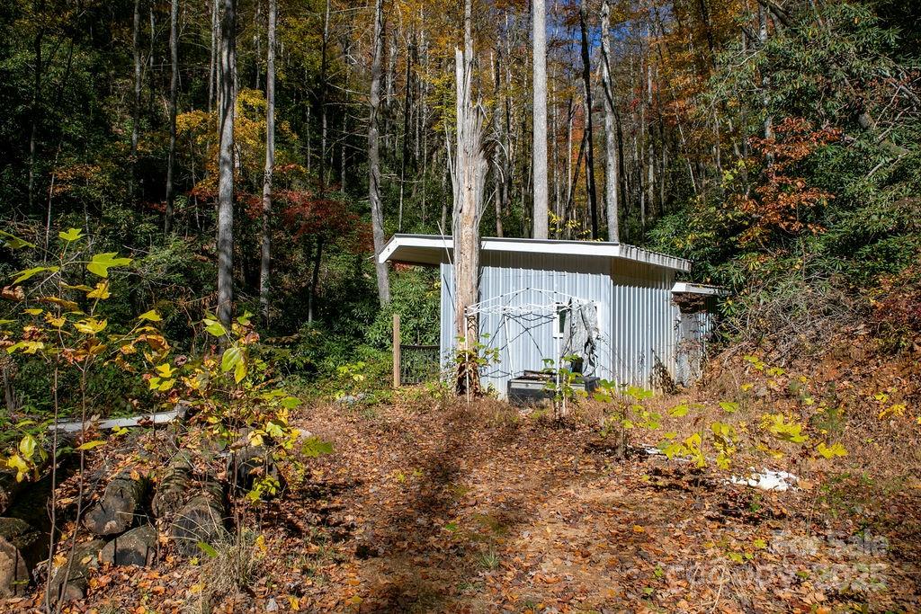 3761 Frozen Creek Road, Unit 31 32 33 Brevard, NC 28712 - Photo 8 of 25 a backyard of a house with lots of plants and large trees