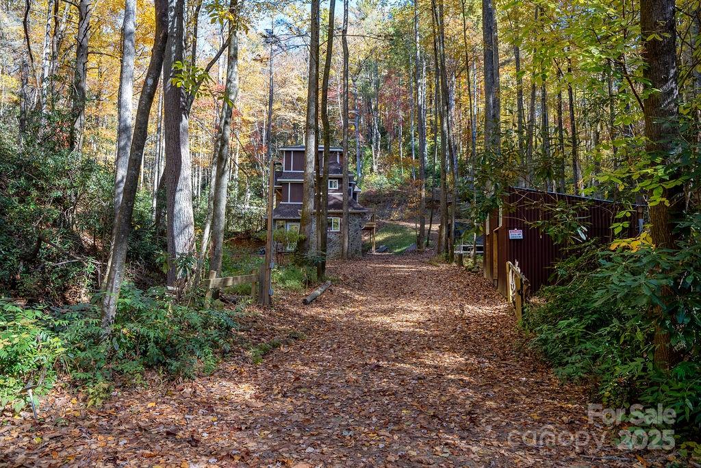 3761 Frozen Creek Road, Unit 31 32 33 Brevard, NC 28712 - Photo 9 of 25 a view of a forest filled with trees