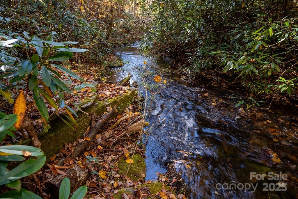 3761 Frozen Creek Road, Unit 31 32 33 Brevard, NC 28712 - Photo 10 of 25