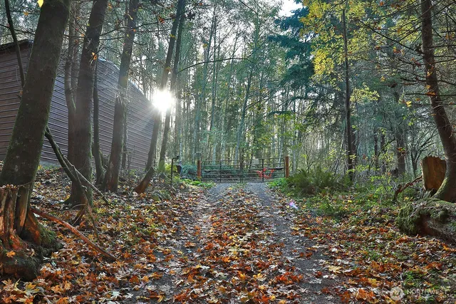 a backyard of a house with lots of green space
