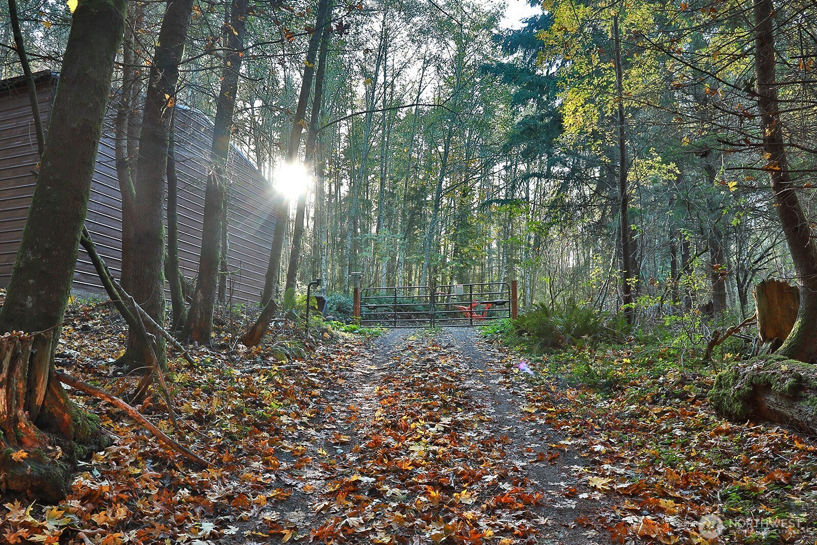 a backyard of a house with lots of green space