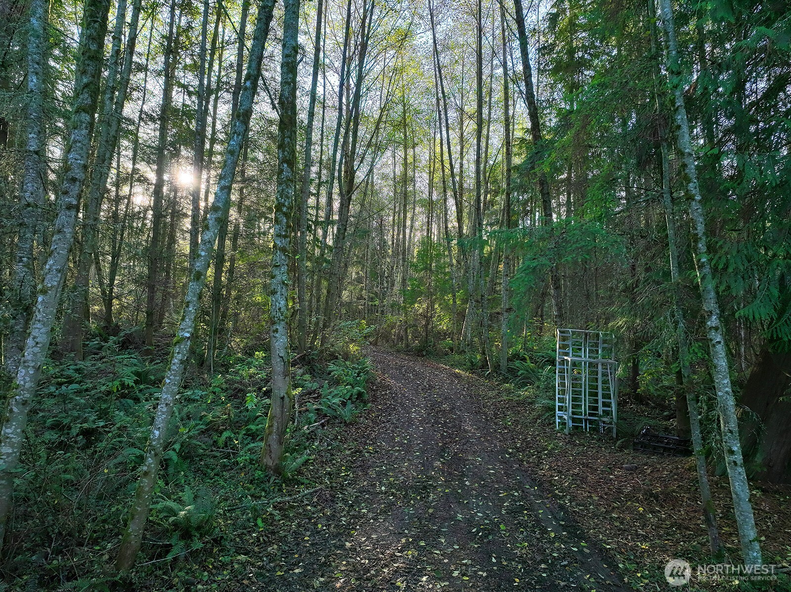 6903 Heggenes Road Clinton, WA 98236 - Photo 14 of 23 Gallery Image 14