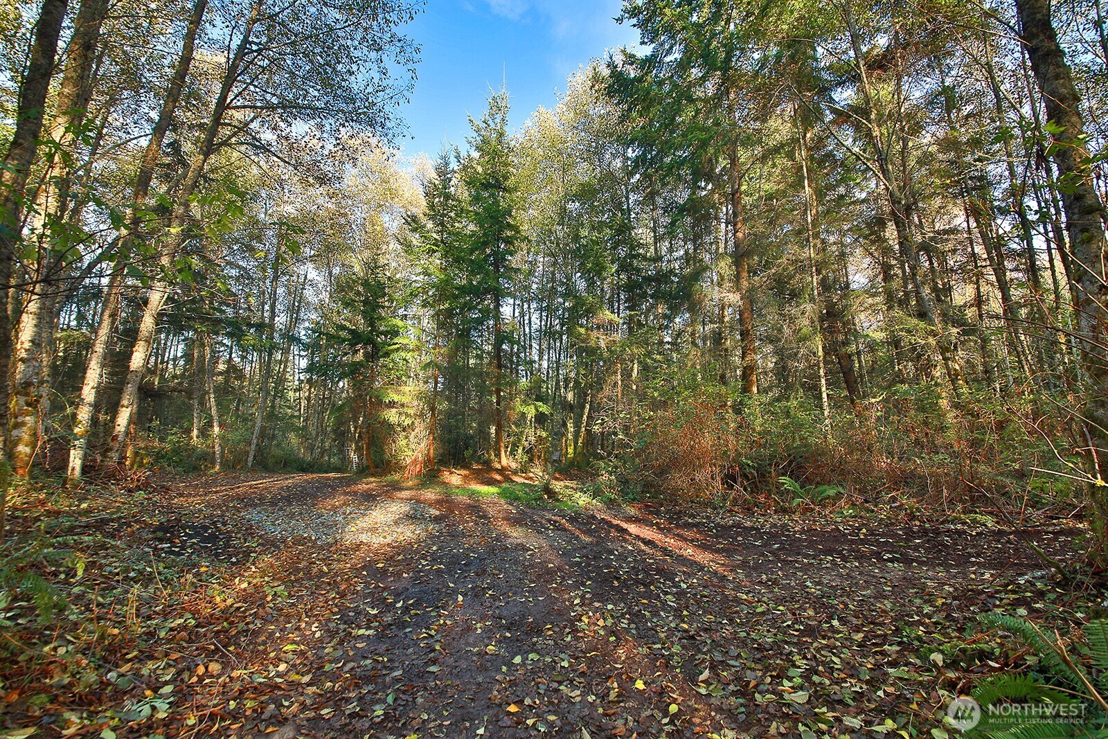 6903 Heggenes Road Clinton, WA 98236 - Photo 18 of 23 Gallery Image 18