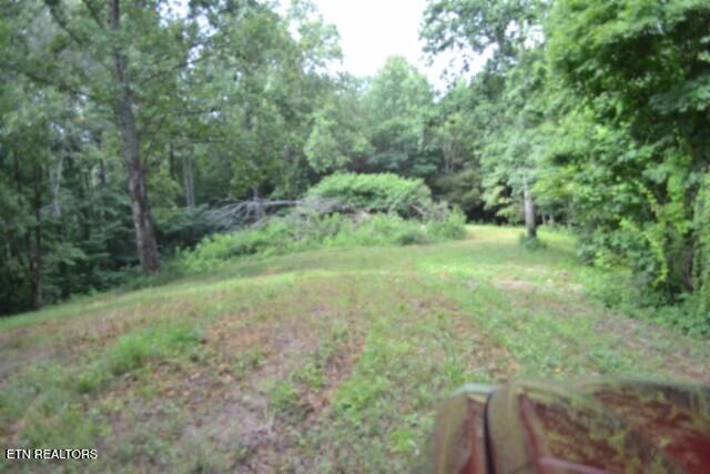 2390 Pea Ridge Fire Tower Road Celina, TN 38551 - Photo 19 of 35 DSC_0019