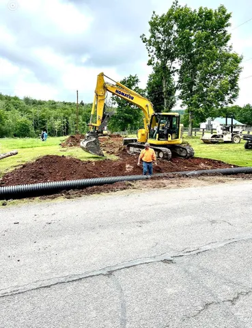 a view of a park with large trees