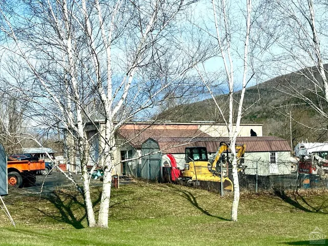 a view of backyard with large trees
