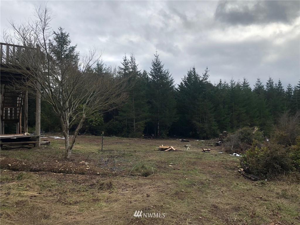 491 Hazel Point Road Quilcene, WA 98376 - Photo 3 of 18 Gallery Image 3