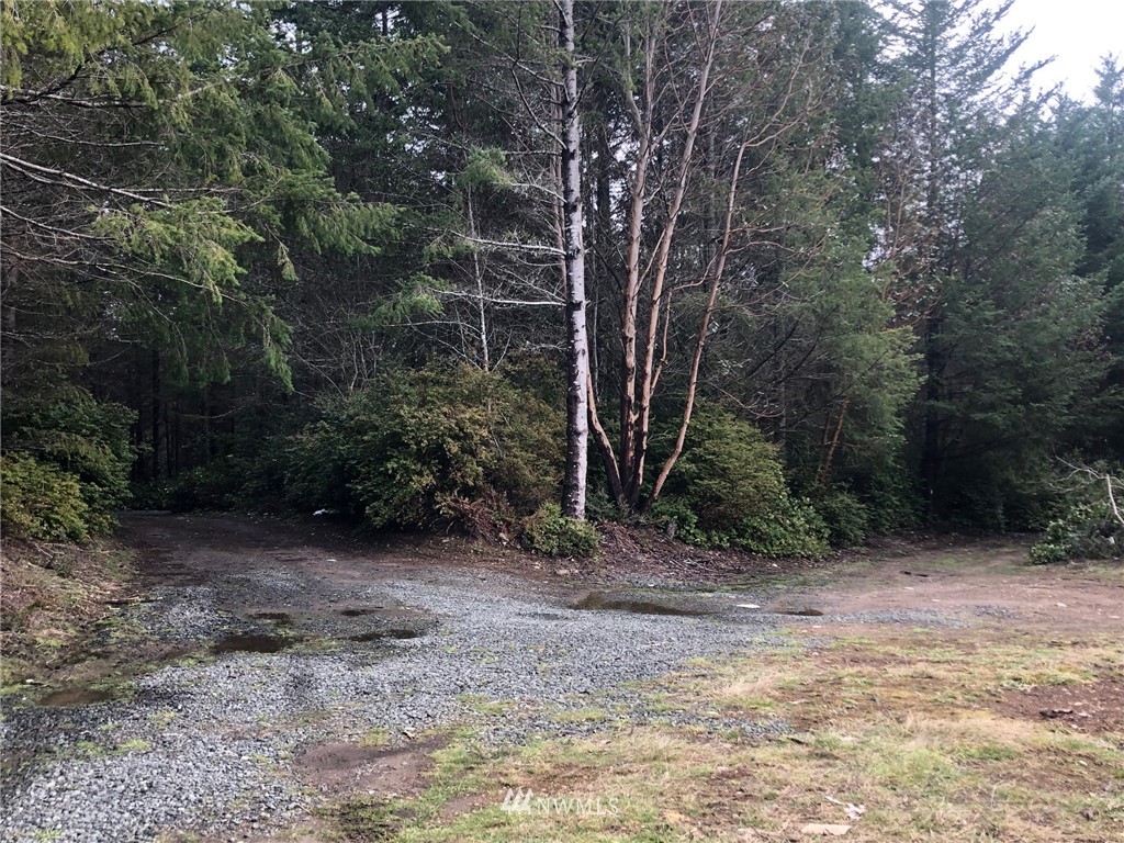 491 Hazel Point Road Quilcene, WA 98376 - Photo 5 of 18 Gallery Image 5