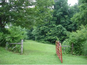 199 Pea Ridge Road Spencer, IN 47460 - Photo 15 of 16 Gallery Image 15