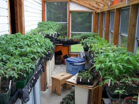 2129 Bennoch Road Old Town, ME 04468 - Photo 23 of 80 IMG_5139