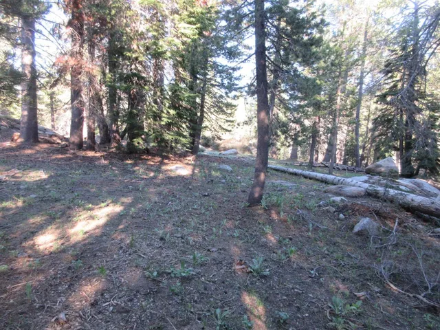 $99,000 | 175 Silver Tip Drive, Bear Valley, CA 95223