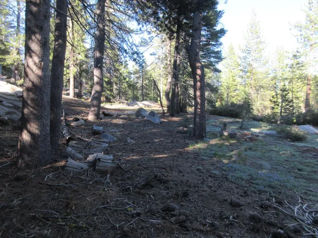 $99,000 | 175 Silver Tip Drive, Bear Valley, CA 95223