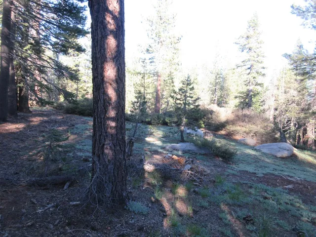 $99,000 | 175 Silver Tip Drive, Bear Valley, CA 95223