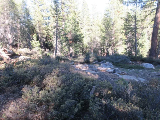 $99,000 | 175 Silver Tip Drive, Bear Valley, CA 95223