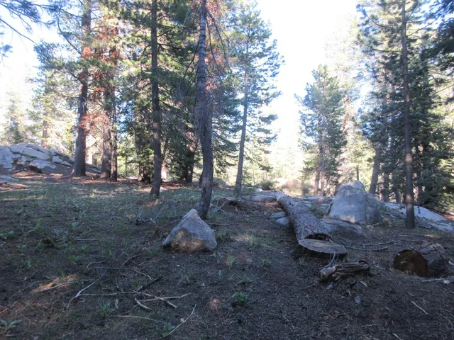 $99,000 | 175 Silver Tip Drive, Bear Valley, CA 95223