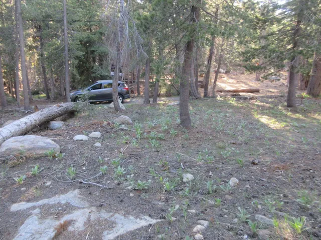 $99,000 | 175 Silver Tip Drive, Bear Valley, CA 95223