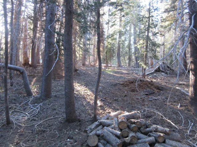 $99,000 | 175 Silver Tip Drive, Bear Valley, CA 95223