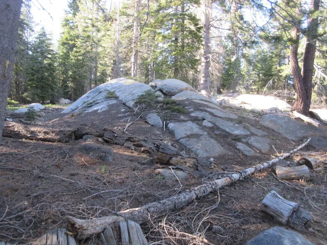 $99,000 | 175 Silver Tip Drive, Bear Valley, CA 95223