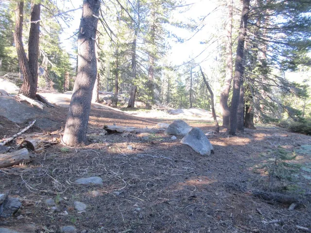 $99,000 | 175 Silver Tip Drive, Bear Valley, CA 95223