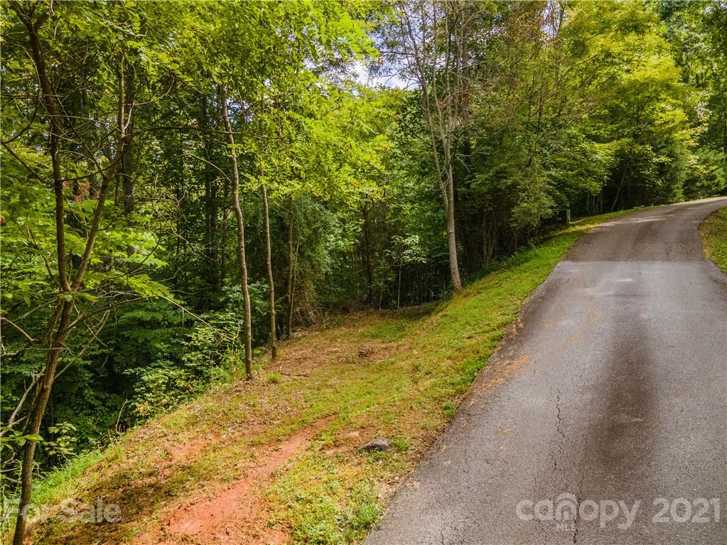 20-21 Wooten Ridge Franklin, NC 28734 - Photo 1 of 16 a view of a yard with plants and large trees