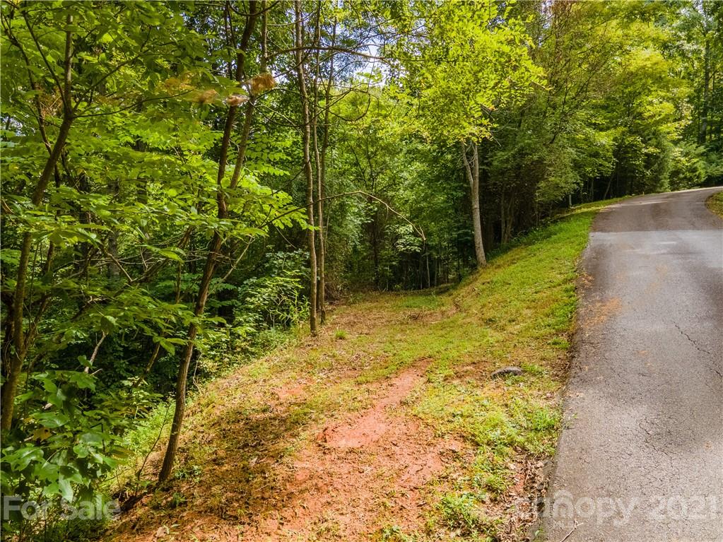 20-21 Wooten Ridge Franklin, NC 28734 - Photo 2 of 16 a view of backyard with tree
