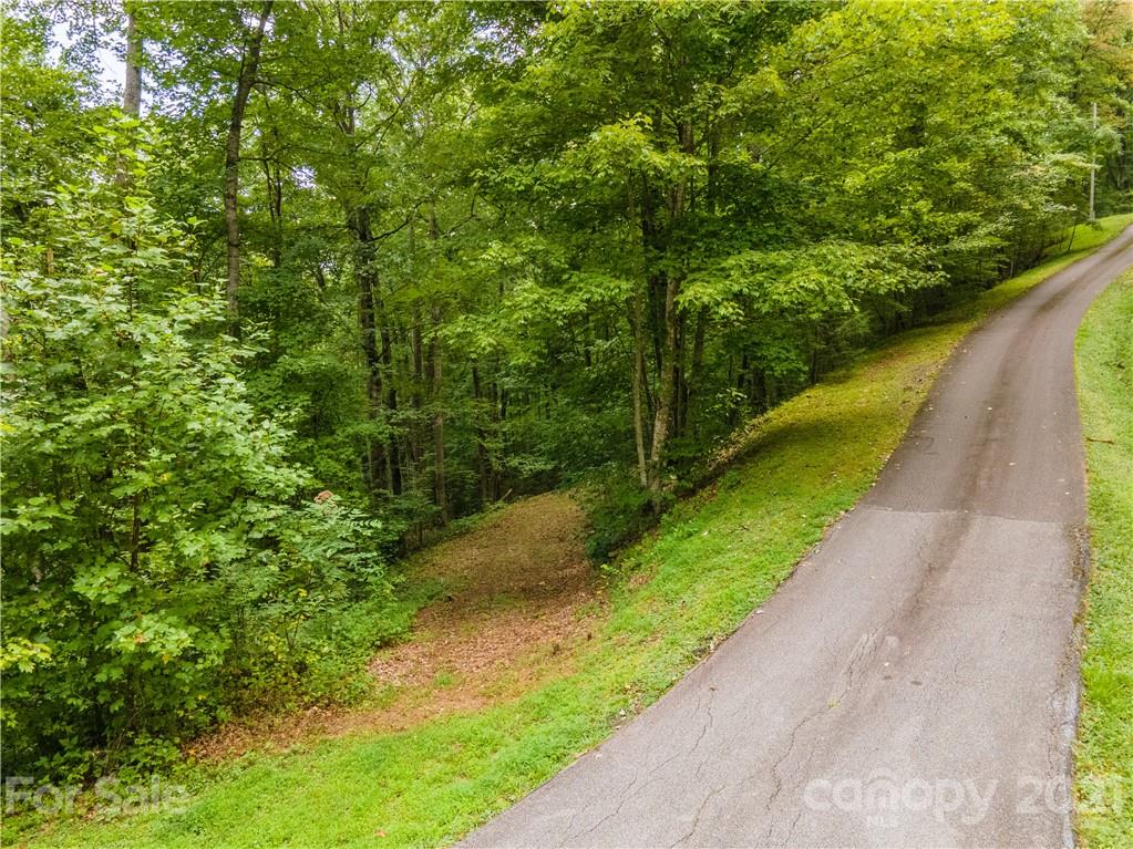 20-21 Wooten Ridge Franklin, NC 28734 - Photo 14 of 16 a view of a pathway both side of yard