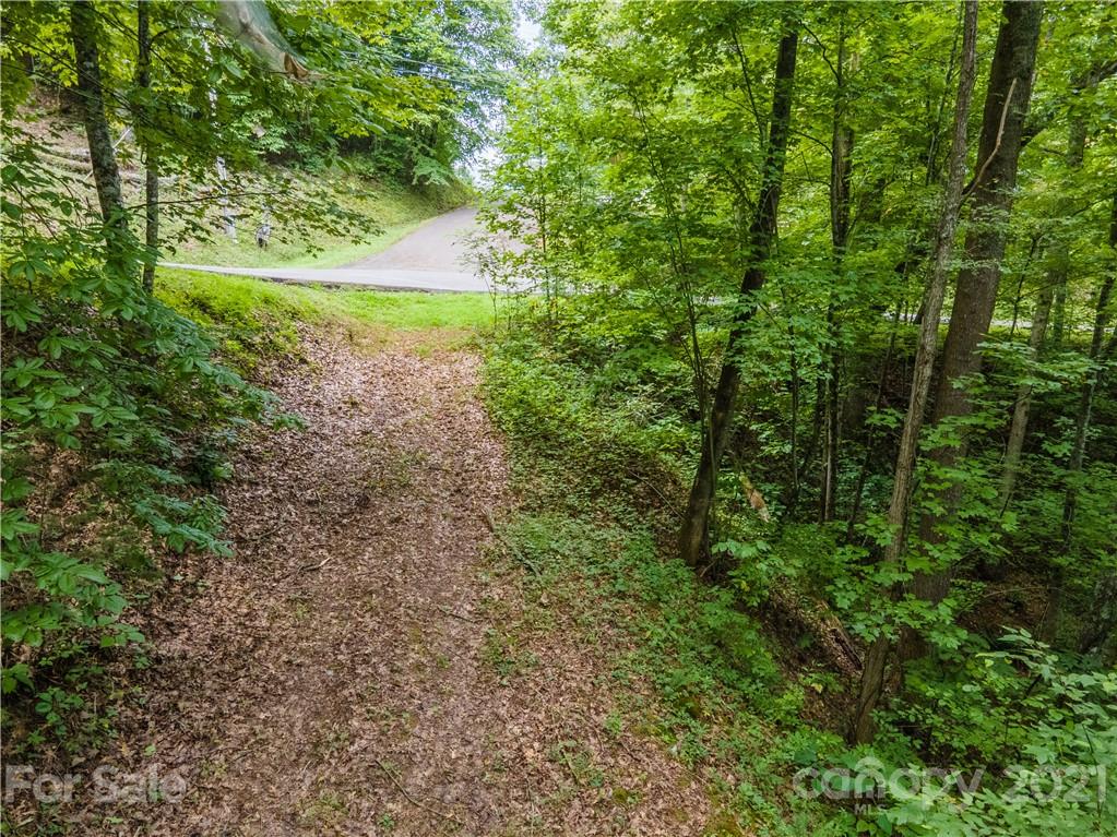 20-21 Wooten Ridge Franklin, NC 28734 - Photo 16 of 16 a view of a garden with a tree
