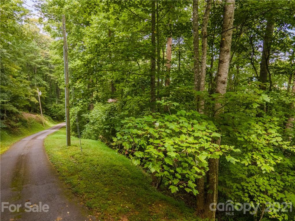 20-21 Wooten Ridge Franklin, NC 28734 - Photo 3 of 16 a view of a yard with a tree