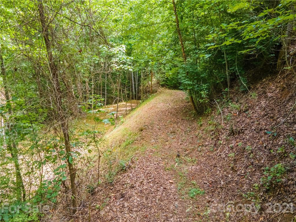 20-21 Wooten Ridge Franklin, NC 28734 - Photo 4 of 16 a view of a yard with plants and trees