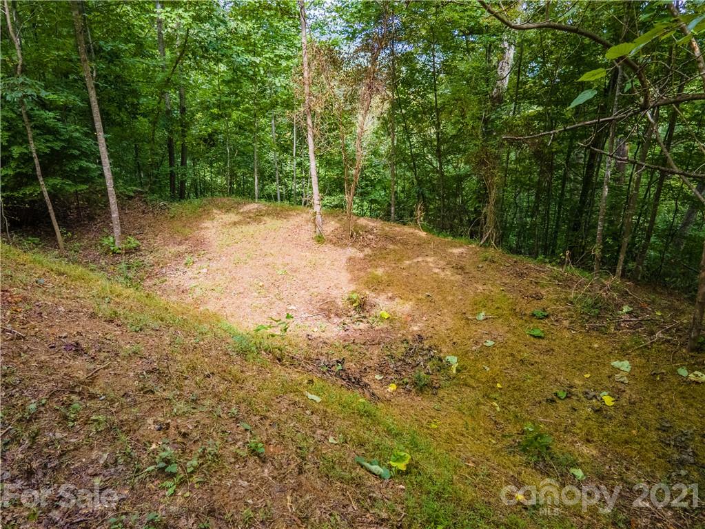 20-21 Wooten Ridge Franklin, NC 28734 - Photo 5 of 16 a view of a field with trees in the background