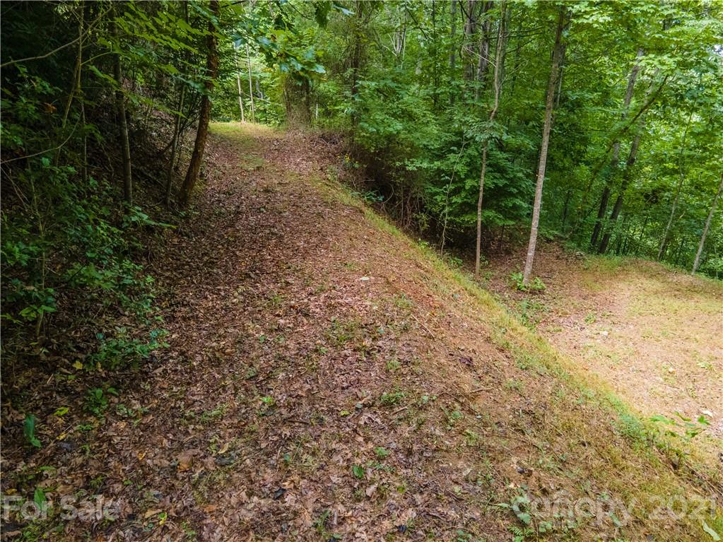 20-21 Wooten Ridge Franklin, NC 28734 - Photo 6 of 16 a view of a yard with plants and trees