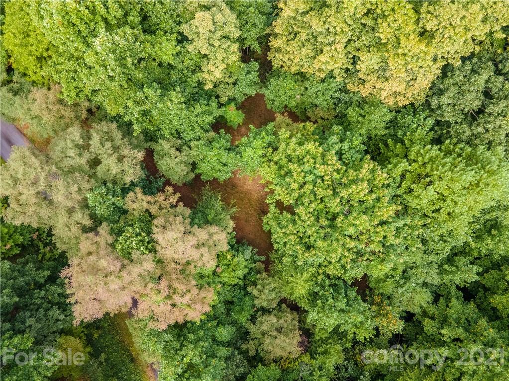 20-21 Wooten Ridge Franklin, NC 28734 - Photo 7 of 16 a view of a lush green forest