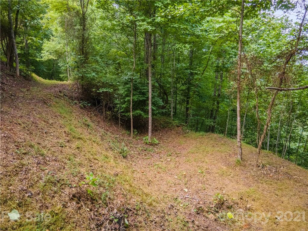 20-21 Wooten Ridge Franklin, NC 28734 - Photo 10 of 16 a view of outdoor space and trees