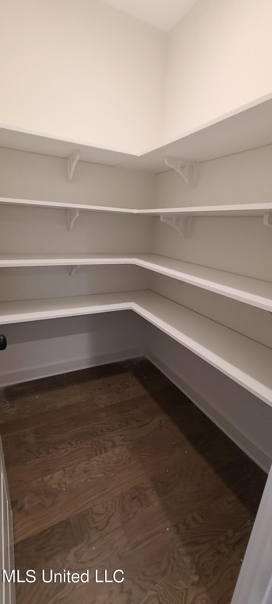 431 Ruskin Loop Hernando, MS 38632 - Photo 13 of 48 Walk In Pantry